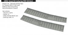 Brassin 1/48 Tempest Mk.V landing flaps PRINT