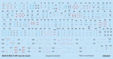 1/48 MiG-21MF stencils Czech