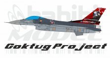 1/72 F-16C Fighting Falcon 401 Sq Goktu Project Decal Set