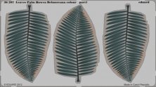 1/35 Leaves Palm Howea Belmoreana colour