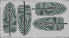 1/35 Leaves Palm Cocos Nucifera colour