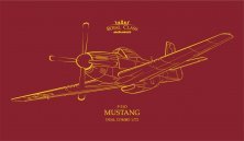 1/72 P-51D MUSTANG Dual Combo ROYAL CLASS