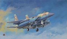 1/48 McDonnell F-15I Ra'am, Israel Air