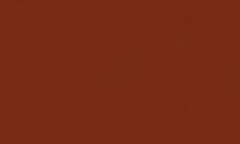 H463 red brown / Rouge brun cuivr (F)