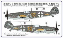 1/32 Camo masks Bf 109 G-6 Ehrler (for AMLD32003)