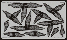 Leaves Fern / Kaprad