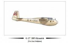 1/72 DFS Kranich (new model) new release
