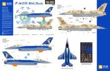 1/48 Lockheed-Martin F-16C/D Wild Ducks 309th Fs