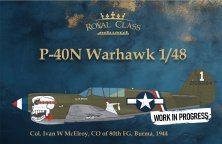 1/48 P-40N Warhawk Dual Combo Royal Class - preorder