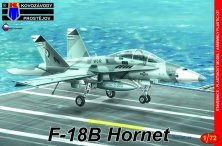1/72 McDonnell-Douglas F-18B Hornet Low-vis