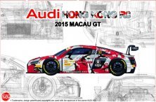 1/24 Audi R8 Lms GT3 Gp macau 2015 FIA-GT