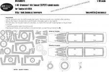 1/48 Mask Grumman F-14A Tomcat EXPERT