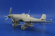 Ju 87G-2 Stuka  (HAS)