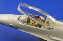 F-16CJ Block 50 Fighting Falcon  (TAM)