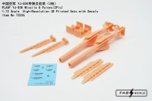 1/72 Plaaf YJ-83K Missile & Pylons x 2