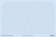 1/32 Triple radial rows decal