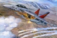 1/32 Grumman EA-18G Growler