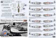 1/72 Decal Black Checker Tail Sqdr.