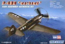 Hobby Boss Curtiss P-40N Warhawk Easy Build 1/72