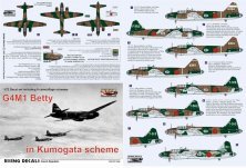 1/72 Decal G4M1 Betty in Kumogata scheme