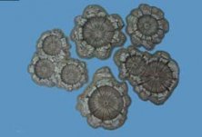 Pegasus Hobbies Painted Shell and Bomb Craters 1/72-1/76-28mm