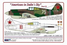 1/48 Decals Americans in Stalins Sky Part II