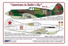 1/48 Decals Americans in Stalins Sky Part II