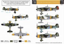 1/48 Fokker D XXI. in Finnish Service