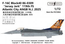 1/72 F-16C Block40 USAF Jersey Jerk119th FS