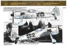 1/48 Decal Fw-190 F-8 / A-8 (Luftwaffe black 2)