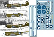 1/72 Pacific Curtiss P-40s Wairarapa Wildcat