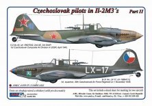 1/144 Decals Czechoslovak pilots in Il-2M3s, Part
