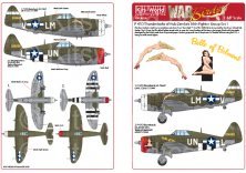 1/48 Republic P-47D Thunderbolts razorbacks