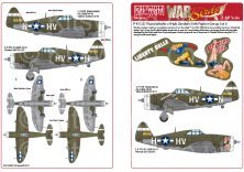 1/48 Republic P-47 Thunderbolts razorbacks
