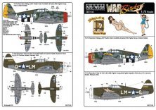 1/72 Scale Republic P-47D Razorback Stalag Luft III Button Nose