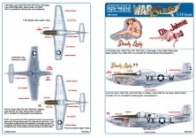 1/32 North-American Mustang P-51  F-6D Shady lady, 109th TRS