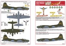 1/48 Boeing B-17E 41-2407 No.13 'NEMESIS OF AEROEMBOLISM'