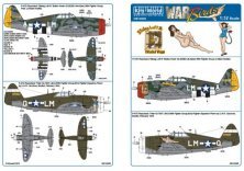 1/32 Scale Republic P-47D Razorback Stalag Luft III Button Nose