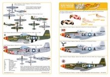1/144 North American P-51D Mustang  'Passion Wagon'  Captain C