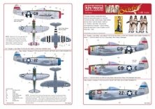 1/48 Republic P-47D Thunderbolt