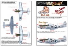 1/72 Mustang P-51  F-6D Shady lady, 109th TRS, 67th TRG