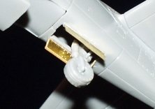 P-51D Mustang  (TAM)