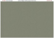 1/32 Feldgrau medium grey green linen/canvas effect