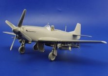 P-51D Mustang  (HAS)