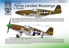 1/32 Force landed North-American P-51D Mustangs in Sweden