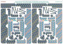 1/48 Siemens-Schuckert D.III 5 colour Lozenge faded