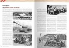 AK 270 SOVIET WAR COLORS PROFILE GUIDE