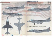 1/48 McDonnell-Douglas AV-8B Harrier. Operations Iraq Freedom