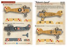 Adams head on the wings of the Great War 1/48 Part 1