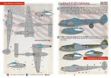 1/48 Lockheed P-38 Lightning hark Mouth Part 4